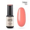 Ημιμόνιμο Βερνίκι PNB mini 223