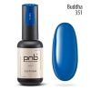 Ημιμόνιμο Βερνίκι PNB Buddha 351