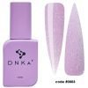 DNKa Liquid Acrygel #0003 Plum Tart 12ml