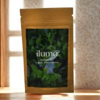 Powder Modeling Green Tea Mask 200gr